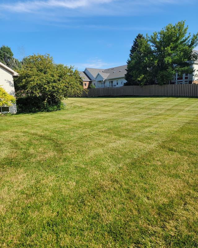 Brad's Yard Services Arlington, WI